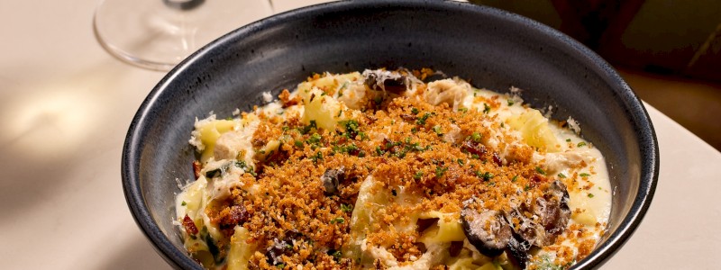 Chicken Alfredo - Pappardelle, shredded chicken, mushroom, spinach, parmesan