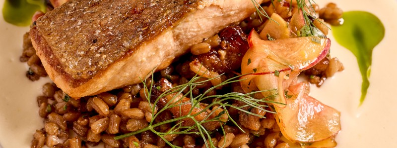 Grilled Scottish Salmon (GF) - Fennel soubise, warm farro salad, lardons, stone fruit salad